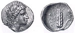 Coin from Metaponton, a Greek colony, around 350 B.C. 